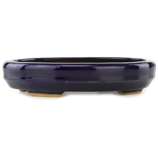 Vaso bonsai ovale blu scuro di Hattori - 167 x 130 x 35 mm