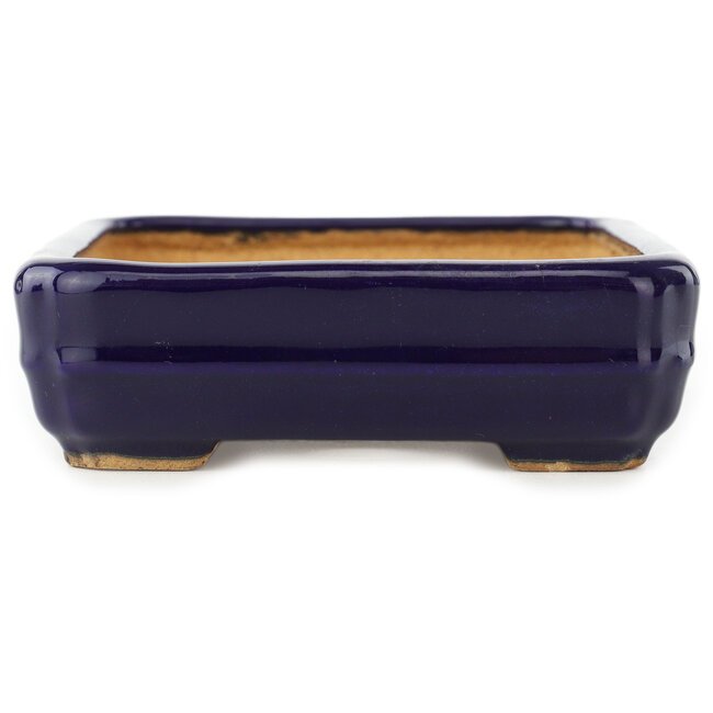 Rectangular dark blue bonsai pot by Hattori - 155 x 117 x 38 mm