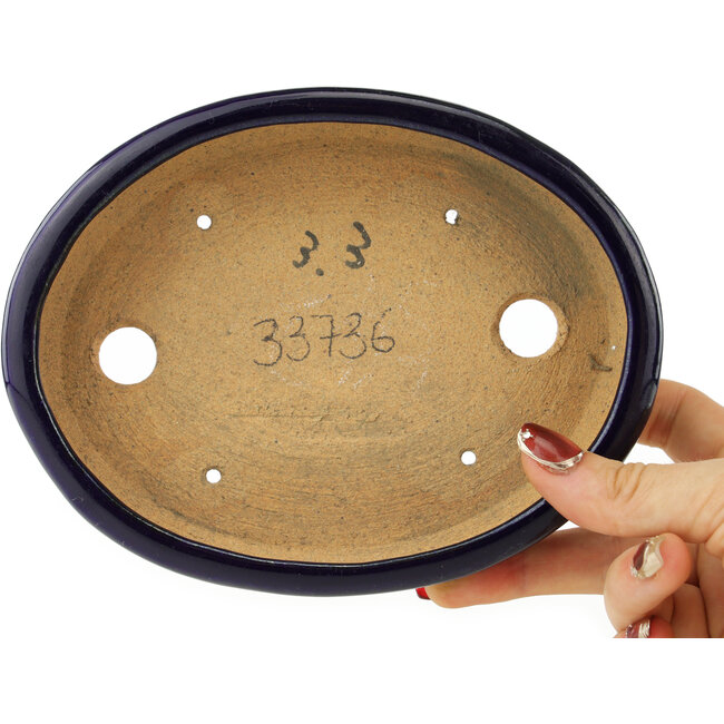 Maceta ovalada para bonsái de color azul oscuro de Hattori - 167 x 130 x 35 mm