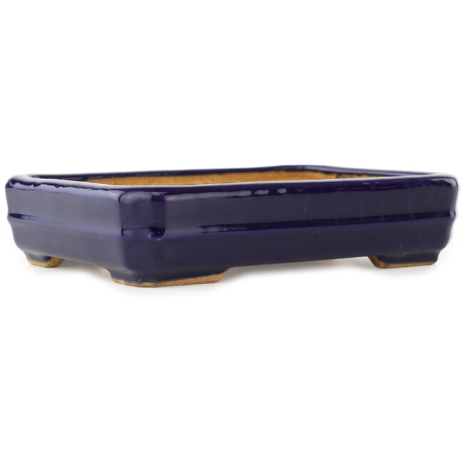 Maceta rectangular para bonsái de color azul oscuro de Hattori - 155 x 117 x 38 mm