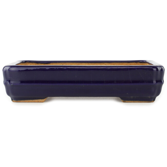 Rectangular dark blue bonsai pot by Hattori - 155 x 117 x 38 mm