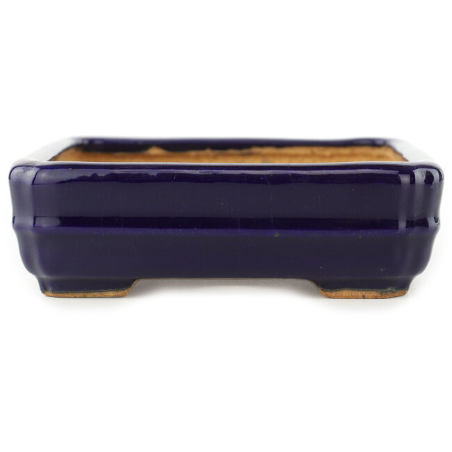 Vaso bonsai rettangolare blu scuro di Hattori - 155 x 117 x 38 mm