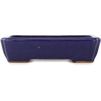  Hattori Tomoyuki Maceta rectangular de color azul oscuro de 155 mm para bonsái de Hattori, Tokoname, Japón