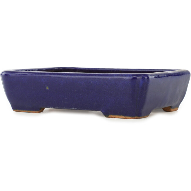 Rectangular dark blue bonsai pot by Hattori - 155 x 117 x 38 mm