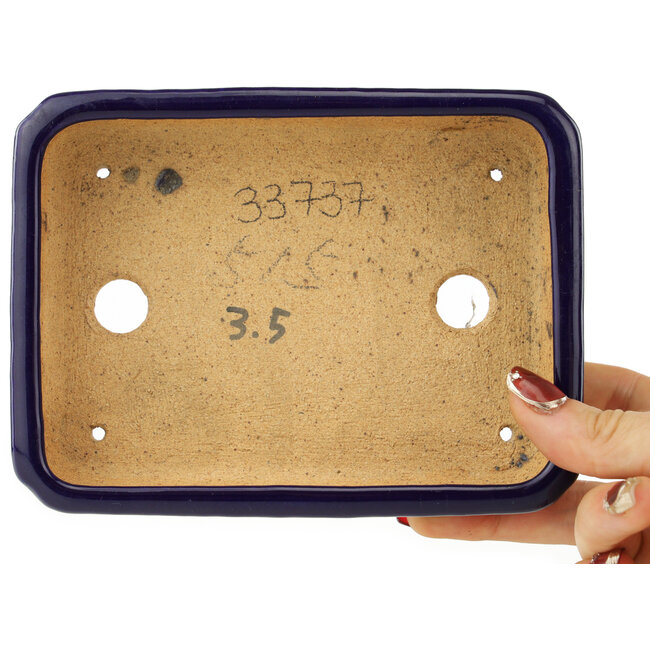 Pot à bonsaï rectangulaire bleu foncé par Hattori - 155 x 117 x 38 mm
