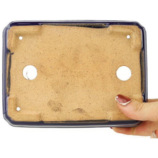 Maceta rectangular para bonsái de color azul oscuro de Hattori - 155 x 117 x 38 mm