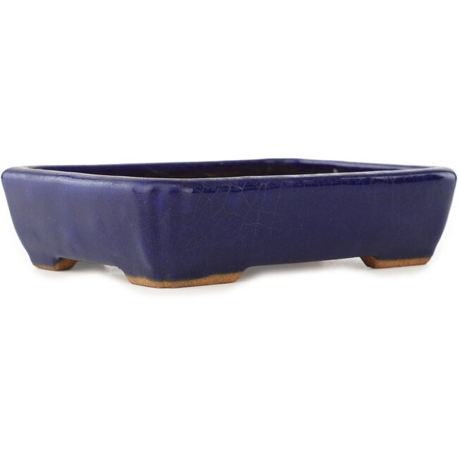 Maceta rectangular para bonsái de color azul oscuro de Hattori - 155 x 117 x 38 mm