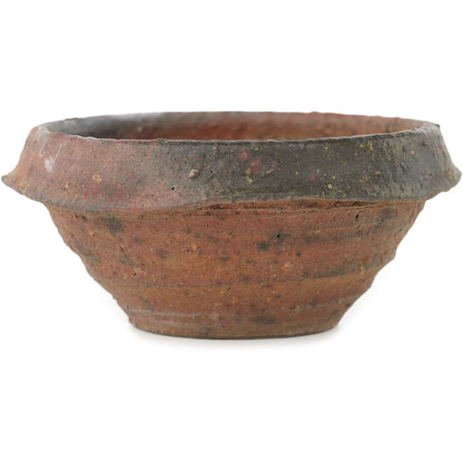 Round unglazed bonsai pot by Bonsai - 120 x 120 x 53 mm
