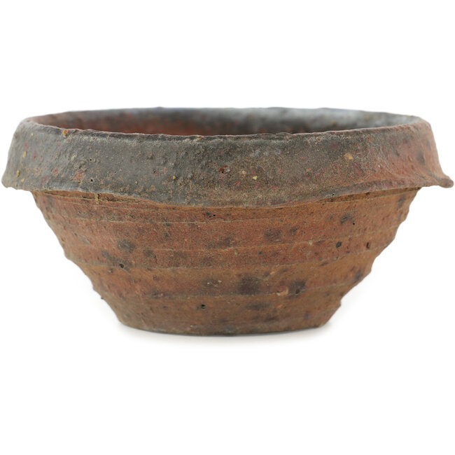 Round unglazed bonsai pot by Bonsai - 120 x 120 x 53 mm