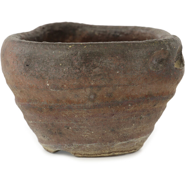 Vaso bonsai tondo non smaltato di Bonsai - 95 x 95 x 60 mm