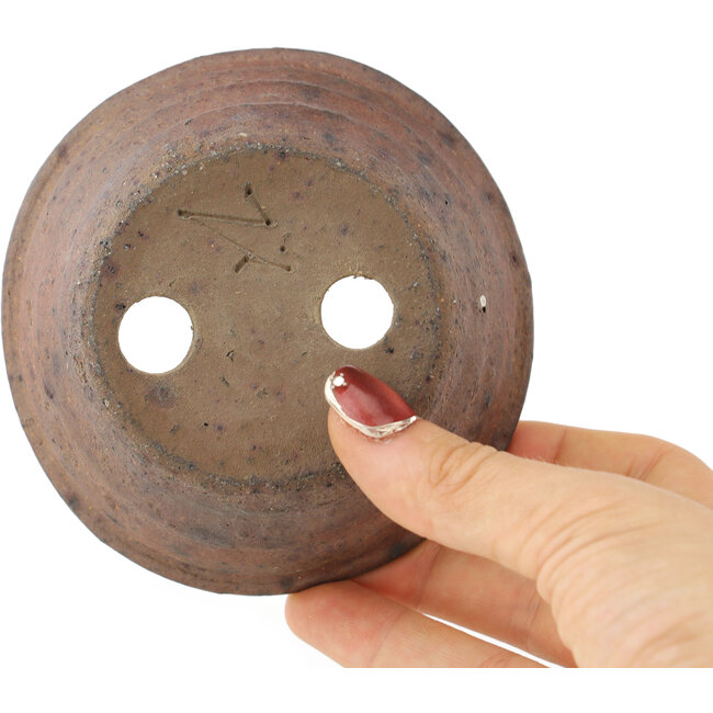Round unglazed bonsai pot by Bonsai - 105 x 105 x 40 mm
