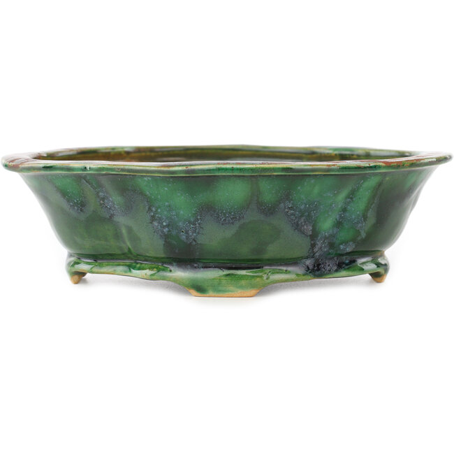 Pot à bonsaï vert Mokko de Seizan - 180 x 160 x 52 mm