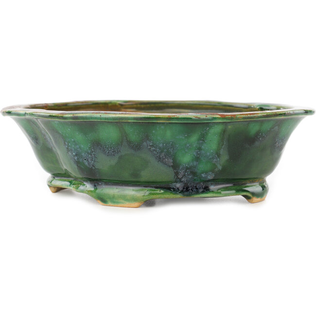 Vaso bonsai verde Mokko di Seizan - 180 x 160 x 52 mm