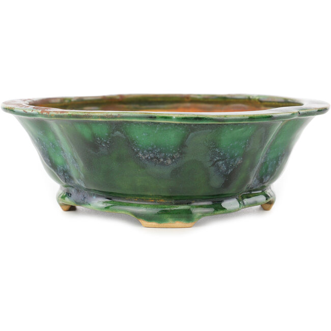 Mokko groene bonsai pot van Seizan - 180 x 160 x 52 mm