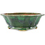 Pot à bonsaï vert Mokko de Seizan - 180 x 160 x 52 mm