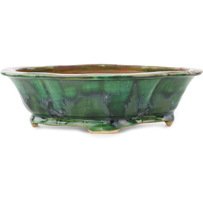 Vaso bonsai verde Mokko di Seizan - 180 x 160 x 52 mm