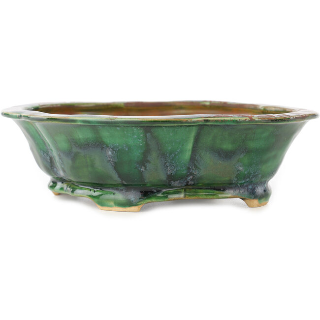 Maceta para bonsái verde Mokko de Seizan - 180 x 160 x 52 mm