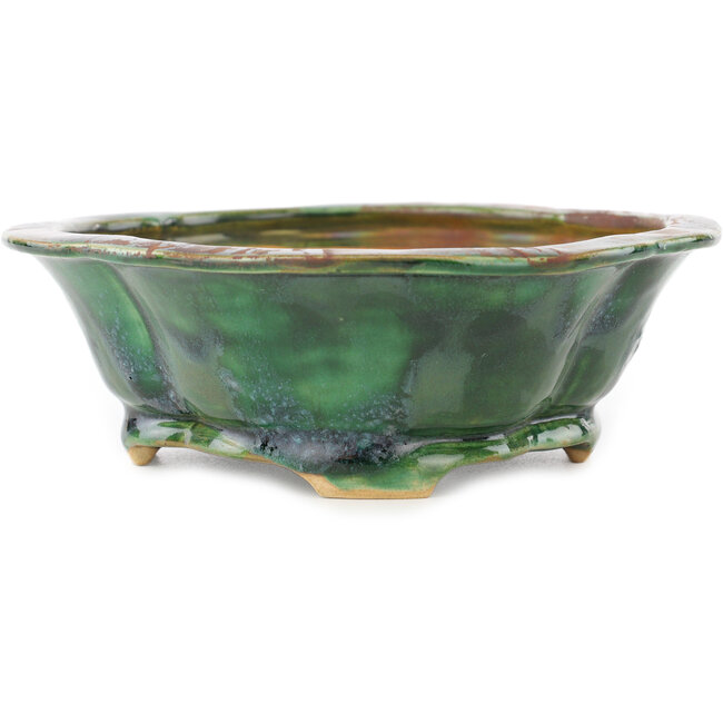 Maceta para bonsái verde Mokko de Seizan - 180 x 160 x 52 mm