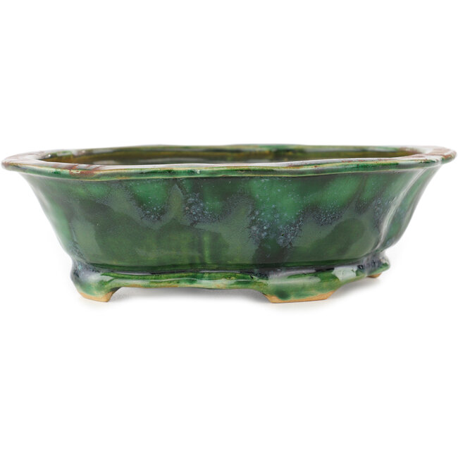 Maceta para bonsái verde Mokko de Seizan - 180 x 160 x 52 mm