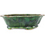 Pot à bonsaï vert Mokko de Seizan - 180 x 160 x 52 mm