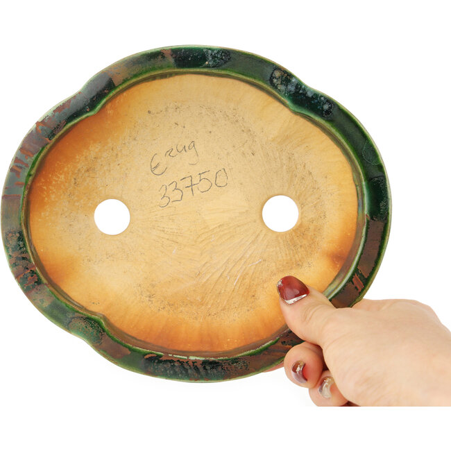 Maceta para bonsái verde Mokko de Seizan - 180 x 160 x 52 mm