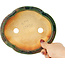 Pot à bonsaï vert Mokko de Seizan - 180 x 160 x 52 mm