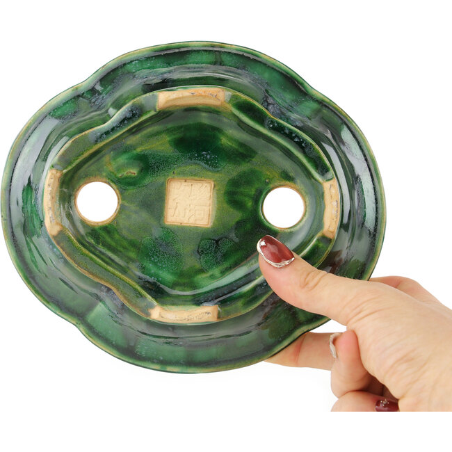 Maceta para bonsái verde Mokko de Seizan - 180 x 160 x 52 mm