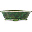 Pot à bonsaï vert Mokko de Seizan - 180 x 155 x 52 mm