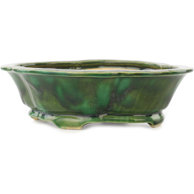 Mokko green bonsai pot by Seizan - 180 x 155 x 52 mm