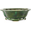 Pot à bonsaï vert Mokko de Seizan - 180 x 155 x 52 mm