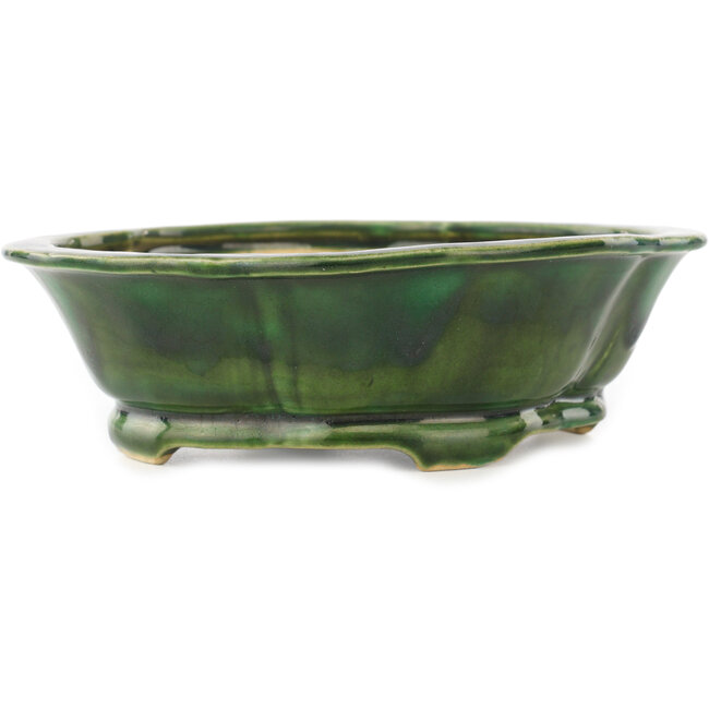 Mokko groene bonsai pot van Seizan - 180 x 155 x 52 mm