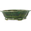 Pot à bonsaï vert Mokko de Seizan - 180 x 155 x 52 mm
