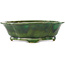 Pot à bonsaï vert Mokko de Seizan - 180 x 155 x 52 mm
