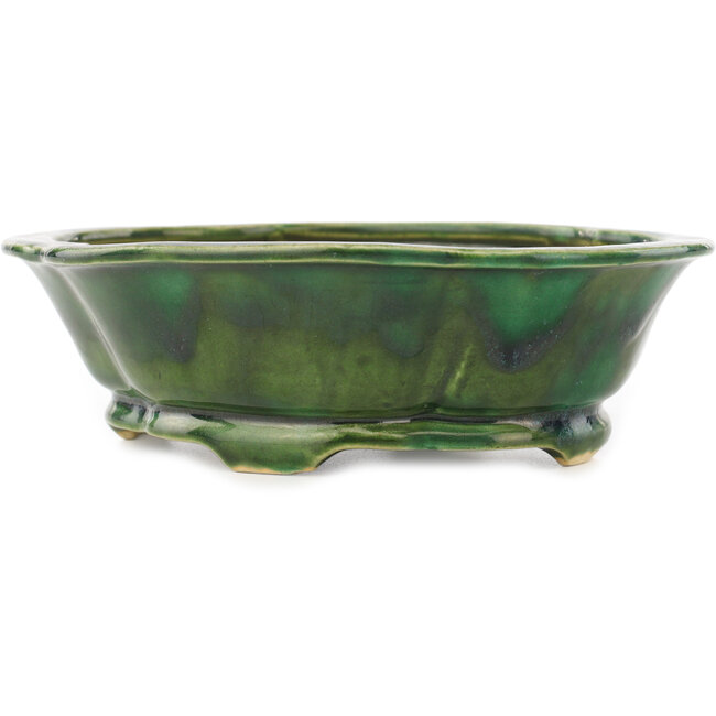 Pot à bonsaï vert Mokko de Seizan - 180 x 155 x 52 mm
