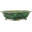 Pot à bonsaï vert Mokko de Seizan - 180 x 155 x 50 mm