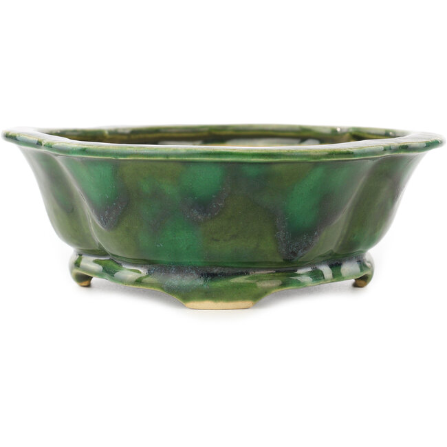 Pot à bonsaï vert Mokko de Seizan - 180 x 155 x 52 mm