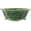 Pot à bonsaï vert Mokko de Seizan - 180 x 155 x 52 mm