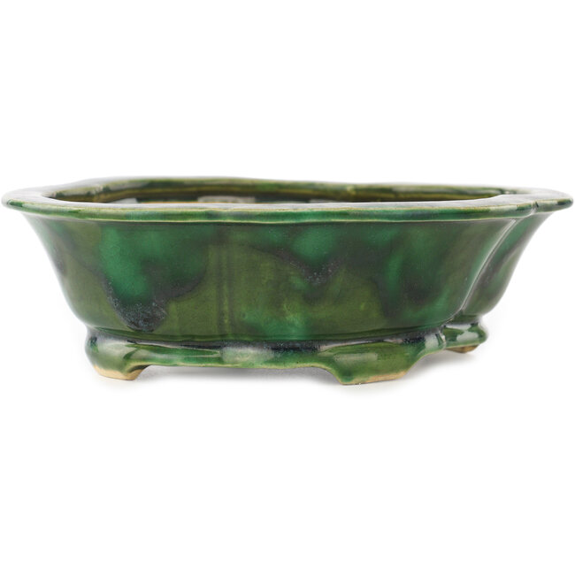 Pot à bonsaï vert Mokko de Seizan - 180 x 155 x 52 mm