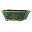 Pot à bonsaï vert Mokko de Seizan - 180 x 155 x 52 mm