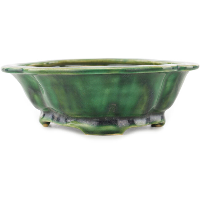 Mokko grüner Bonsaitopf von Seizan - 180 x 155 x 50 mm