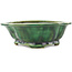 Pot à bonsaï vert Mokko de Seizan - 180 x 155 x 50 mm