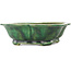 Pot à bonsaï vert Mokko de Seizan - 180 x 155 x 50 mm