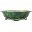Pot à bonsaï vert Mokko de Seizan - 180 x 155 x 50 mm