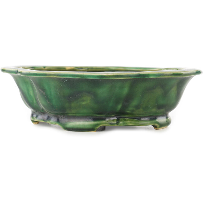 Maceta para bonsái verde Mokko de Seizan - 180 x 155 x 50 mm