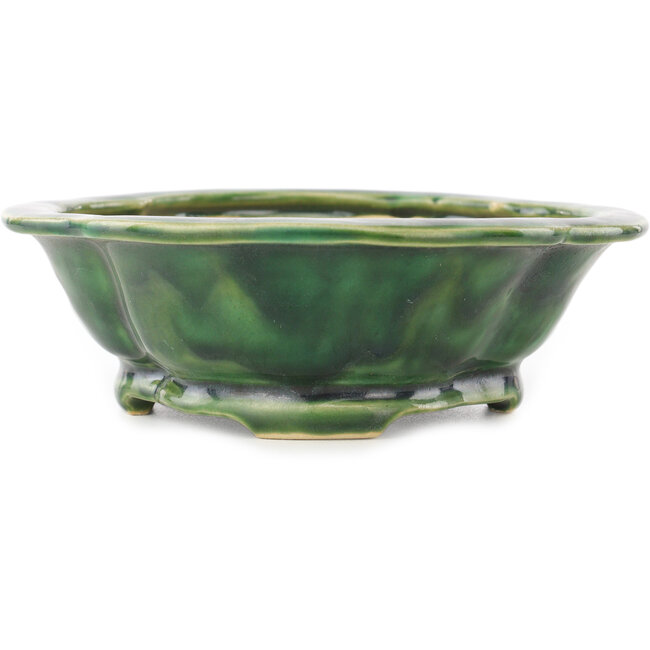 Maceta para bonsái verde Mokko de Seizan - 180 x 155 x 50 mm