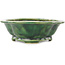 Pot à bonsaï vert Mokko de Seizan - 180 x 155 x 50 mm