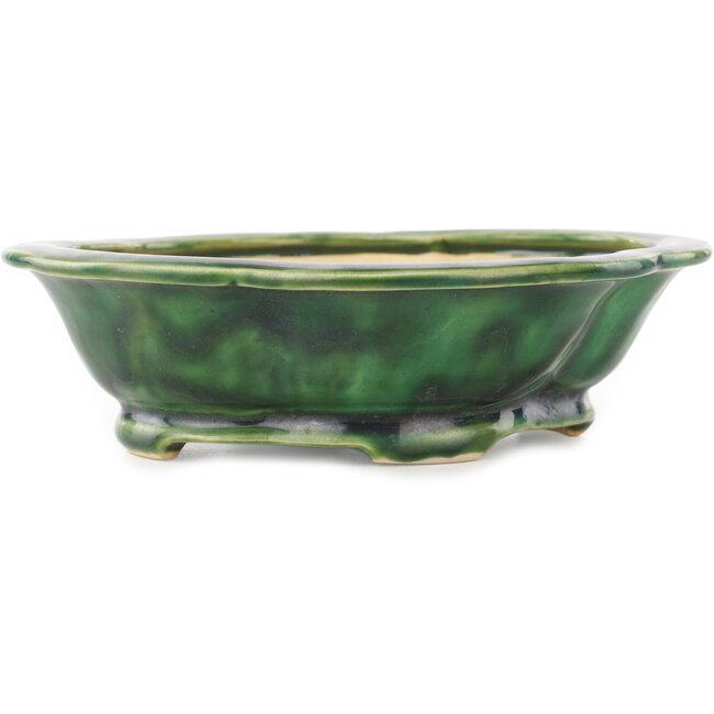 Mokko green bonsai pot by Seizan - 180 x 155 x 50 mm