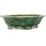 Pot à bonsaï vert Mokko de Seizan - 180 x 155 x 50 mm