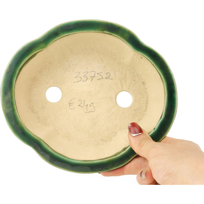 Vaso bonsai Mokko verde di Seizan - 180 x 155 x 50 mm