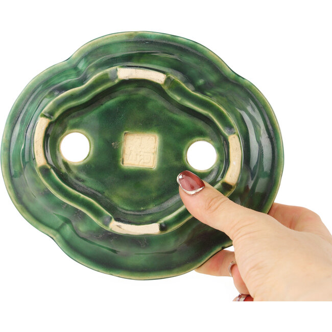 Mokko grüner Bonsaitopf von Seizan - 180 x 155 x 50 mm